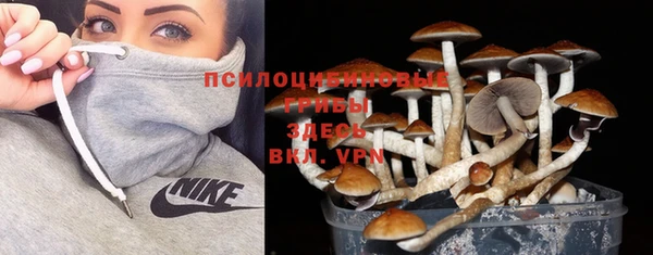 кокаин колумбия Алексин